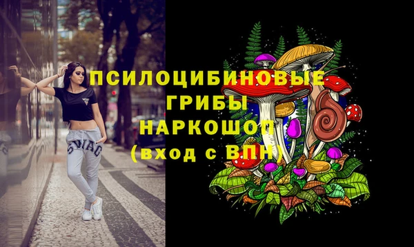 МДПВ Алзамай