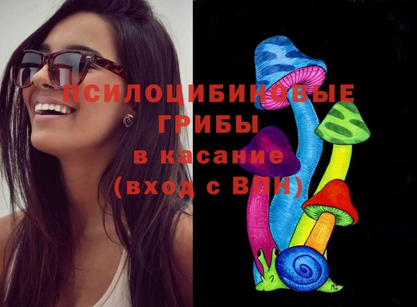 МДПВ Алзамай